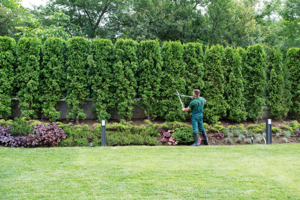 Lawn Irrigation Installation and Maintenance in Burgaw, NC